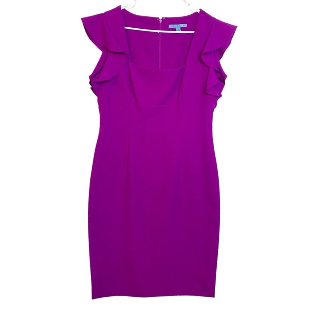 Antonio Melani women's 12 large purple dress business square neck flutter sleeve